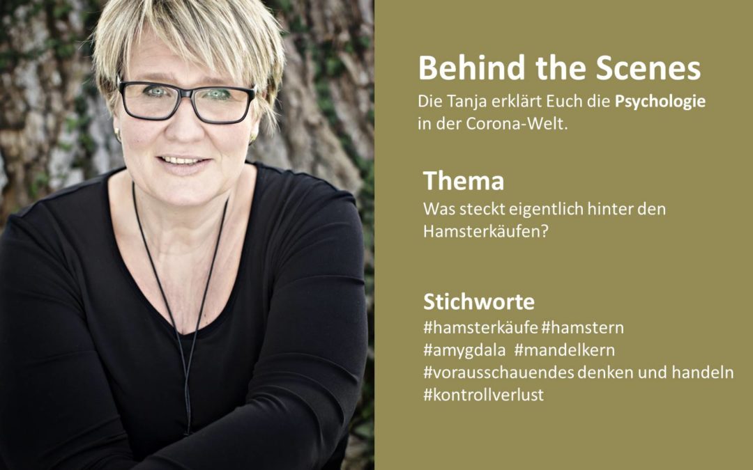 Was steckt eigentlich hinter den Hamsterkäufen?